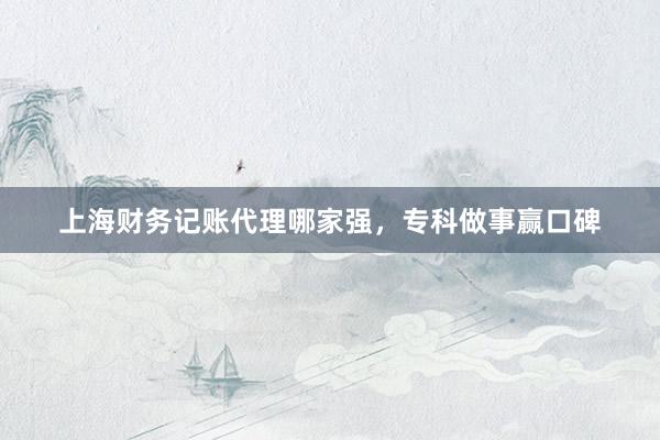 上海财务记账代理哪家强，专科做事赢口碑