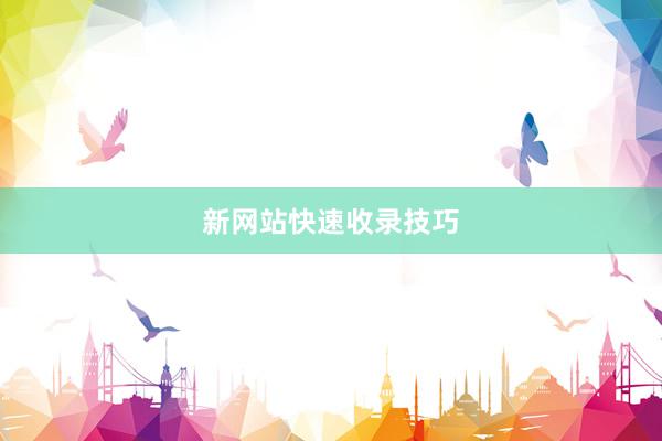 新网站快速收录技巧