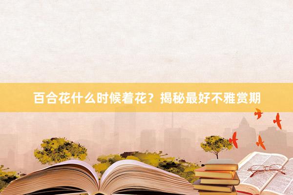 百合花什么时候着花？揭秘最好不雅赏期