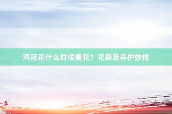 鸡冠花什么时候着花？花期及养护妙技